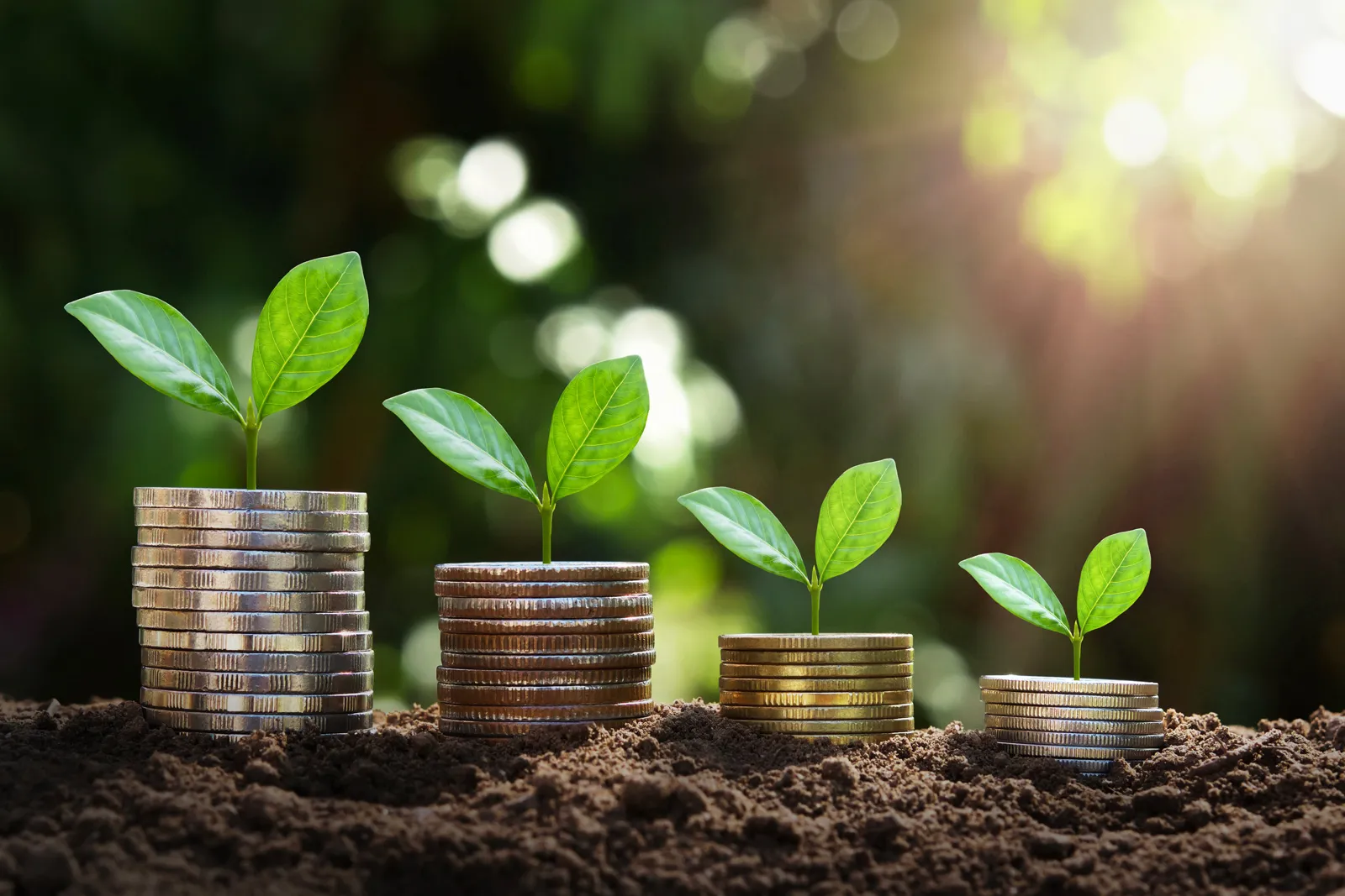 Plants growing from coins